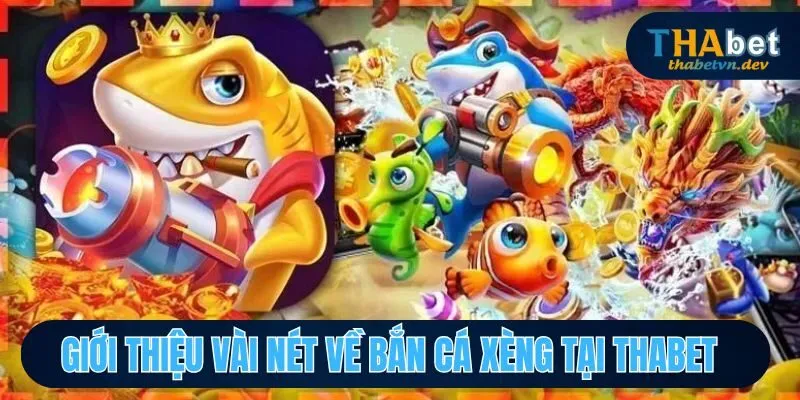 Tổng quan sơ lược về bắn cá xèng