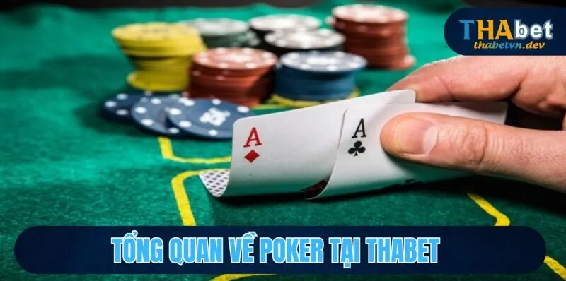 Chinh Phục Poker Thắng Thưởng Bất Ngờ - Rinh Quà Mỗi Ngày với Thabet 2 Tổng quan về poker tại THABET